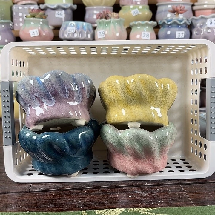 红陶永***远发8个8个8个