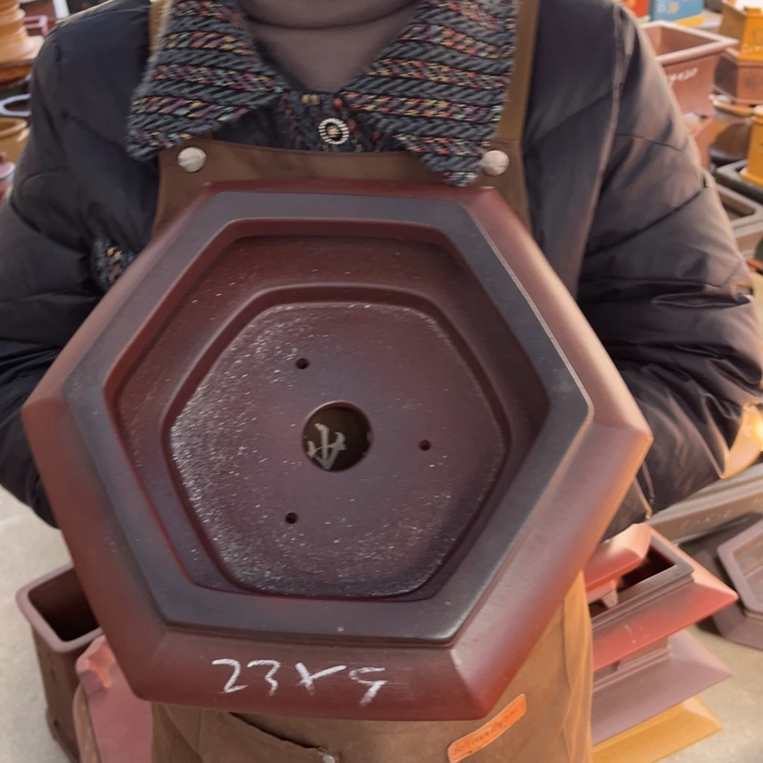 紫砂花盆盆景艺术