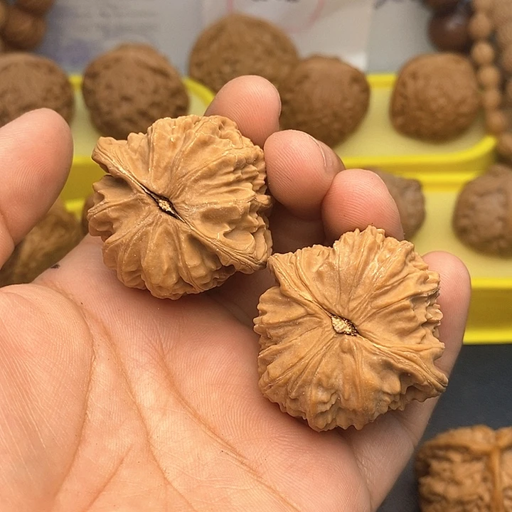 文玩核桃把件没***笑白狮子