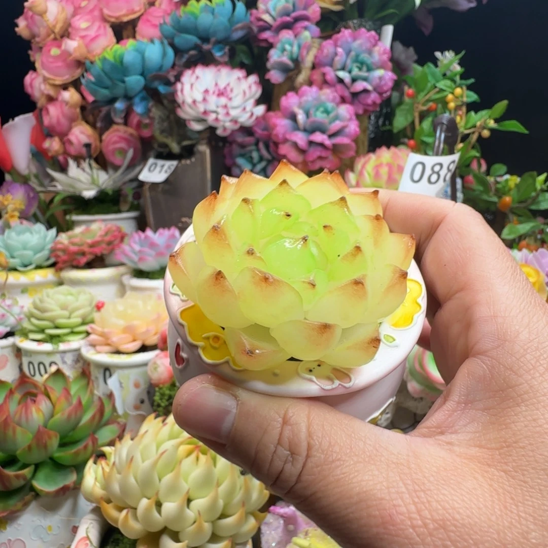 不带盆手工制作化水色多肉