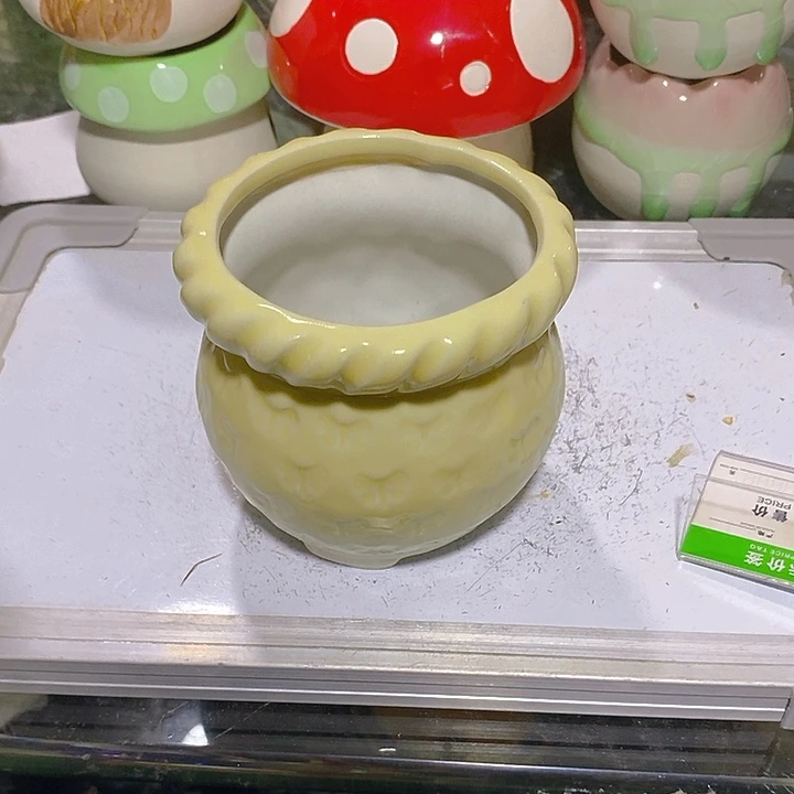 摆件多肉瑕疵盆有孔