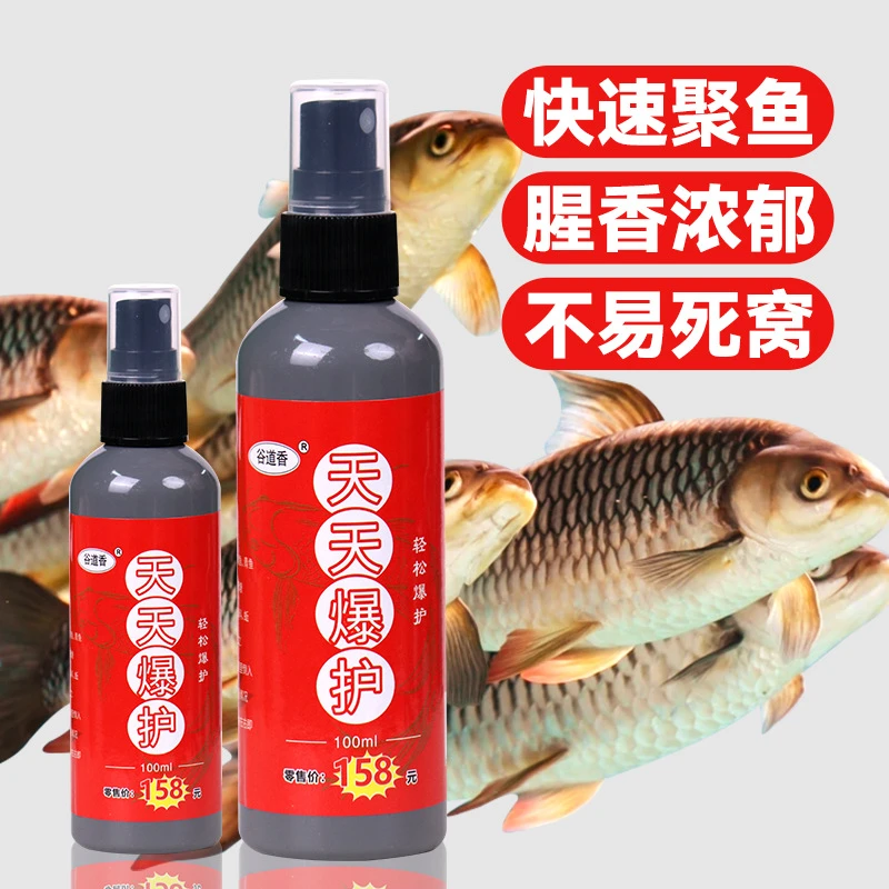 主播同款鱼上岸天天爆护