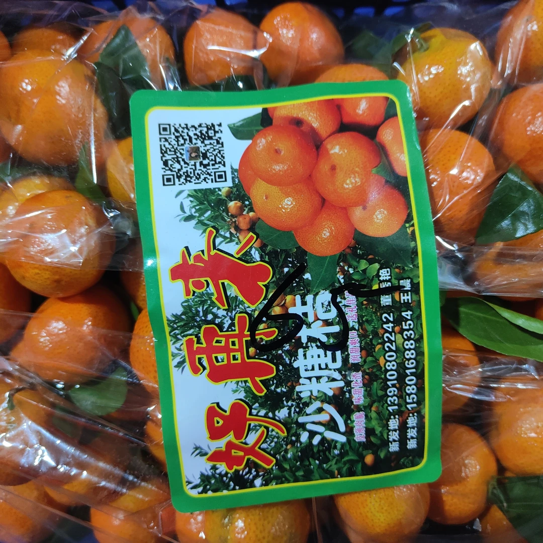 广西正宗砂糖橘 甘甜可口75块一箱约 6500g