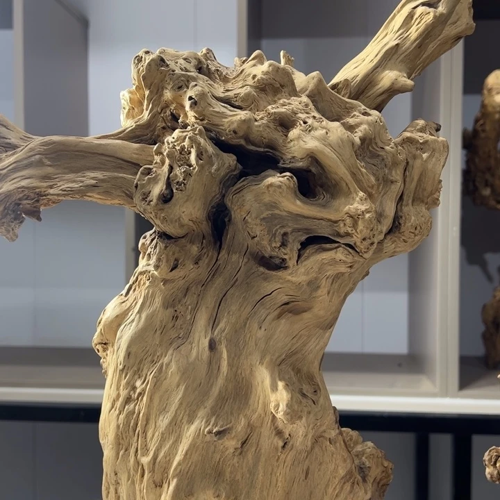 木石榴木榴疤风化摆件