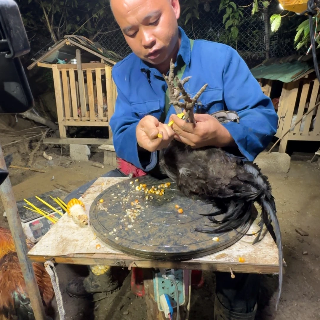 1中国大陆包装樱桃鸡
