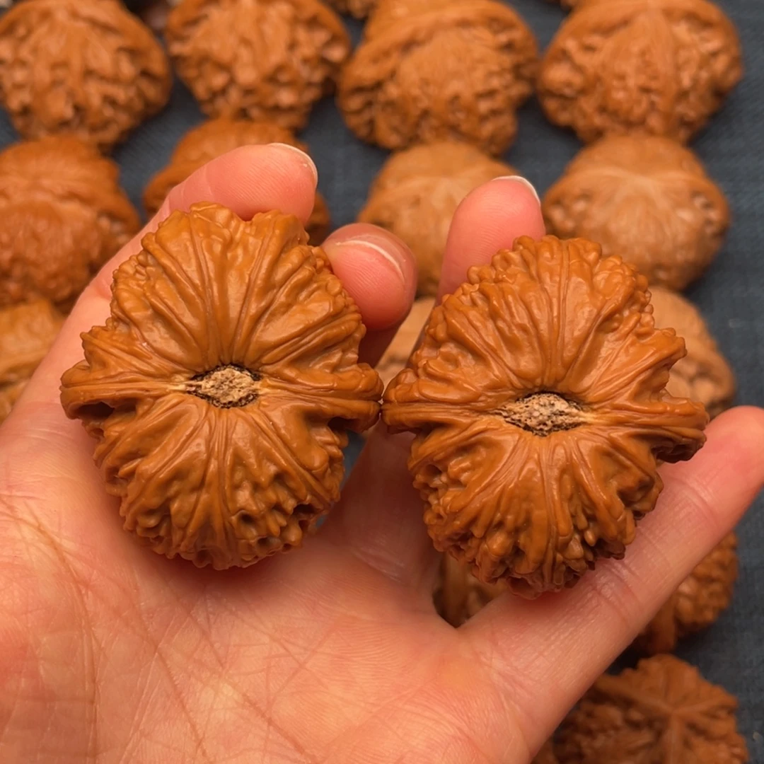 文玩核桃把件40全品卡姿兰大眼睛球白