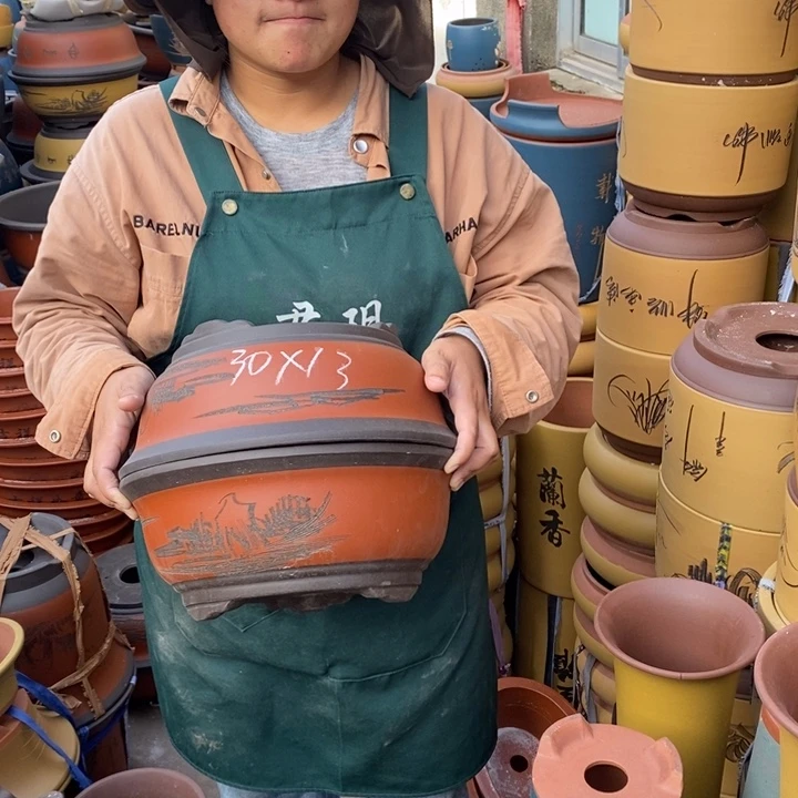 紫砂花盆盆栽花卉苗木种植