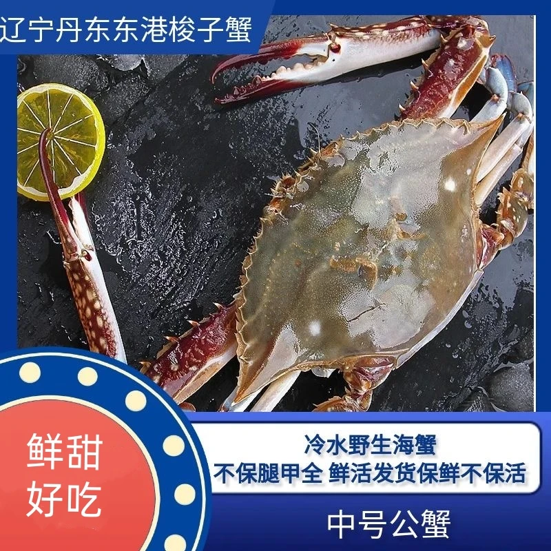 【保鲜不保活】中公蟹3两左右/只 3只左右/斤2- 3斤不保腿甲全