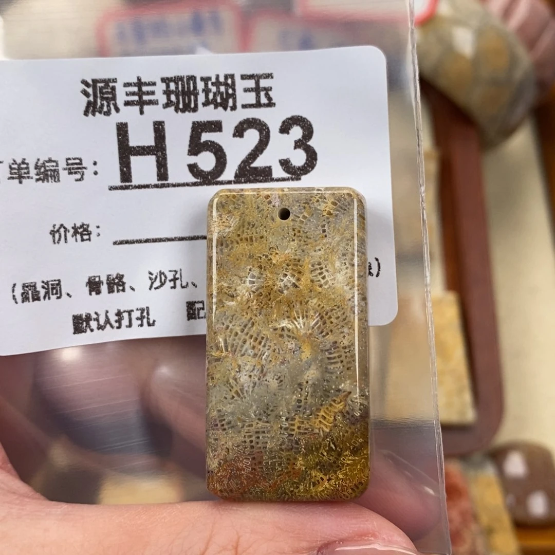硅化玉颈饰未镶嵌拾*九