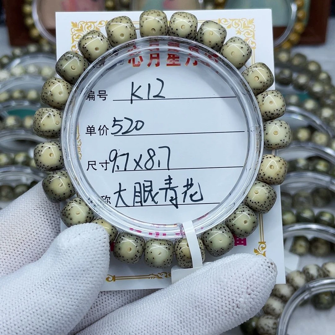 海南心月星月菩提k12