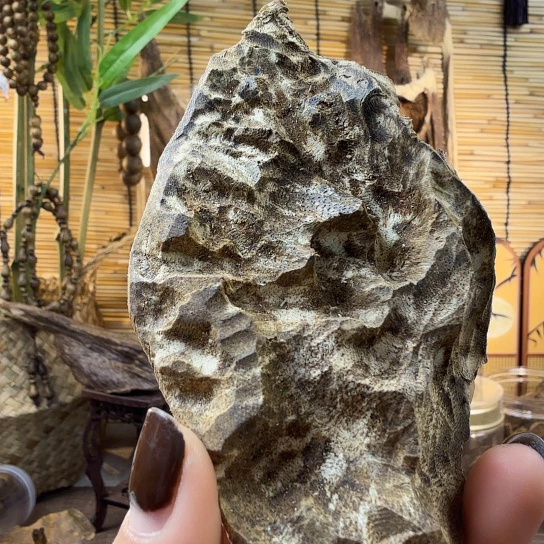 沉香沉香碎屑沉香包头28g