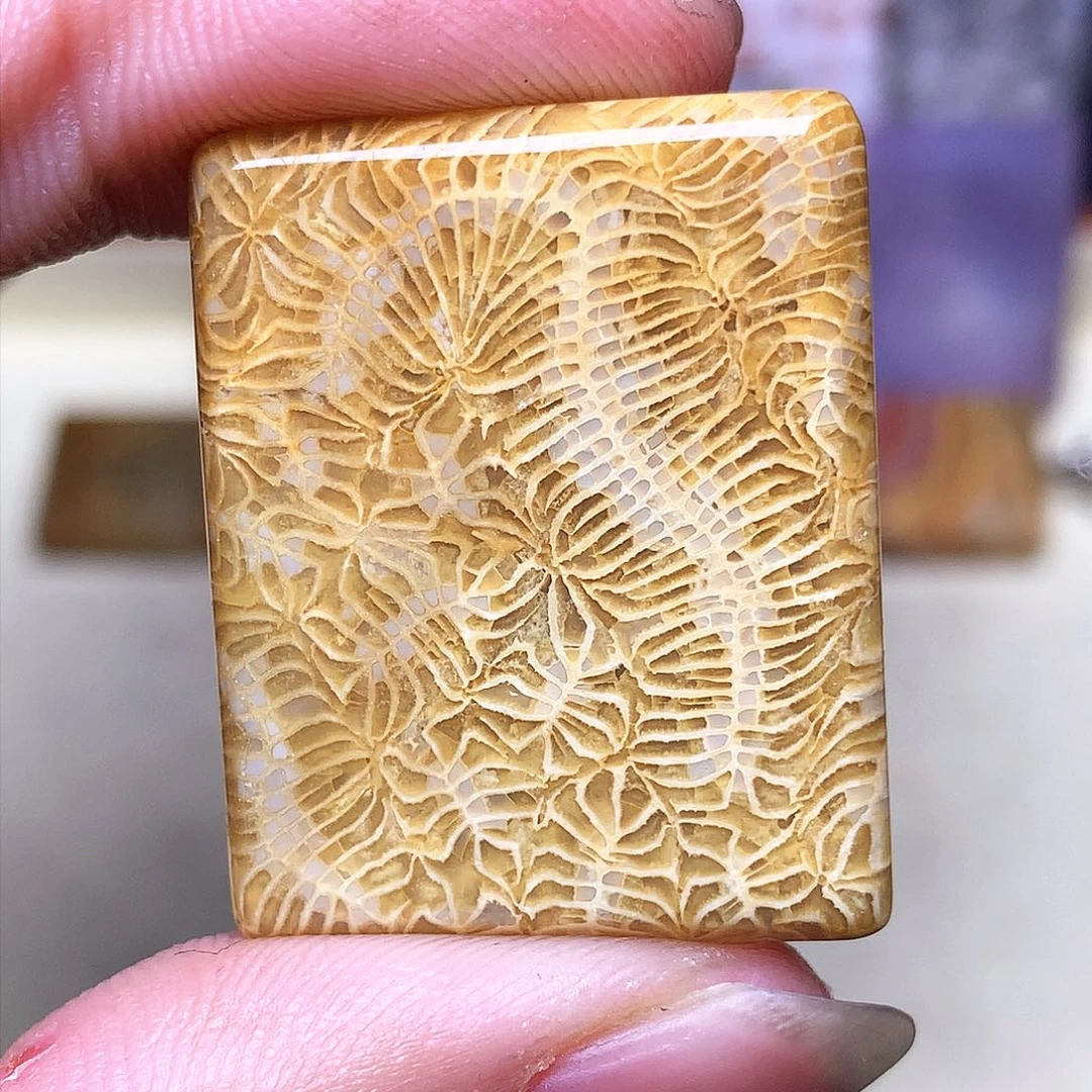 硅化玉珠宝奇石合金晒****钙