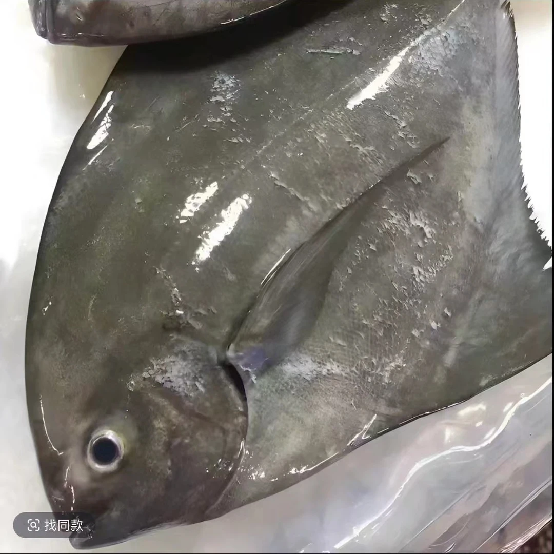鼎峰海产  新鲜天然黑鲳鱼 6条（6-8两/斤）顺丰冷链包邮 博贺渔港