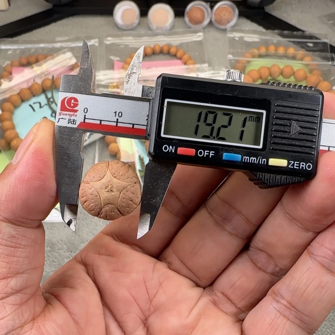 吊坠凤眼菩提19.2尺寸五星