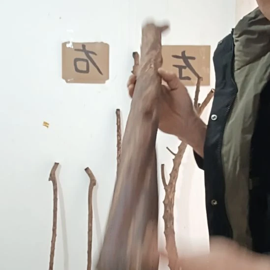 原木直播精品原木