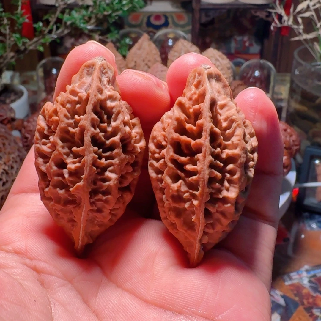 吊坠文玩核桃霸王针