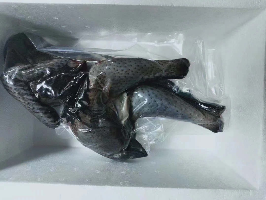 2号【鸡啊鸡】云南盐津乌鸡散养自养土鸡