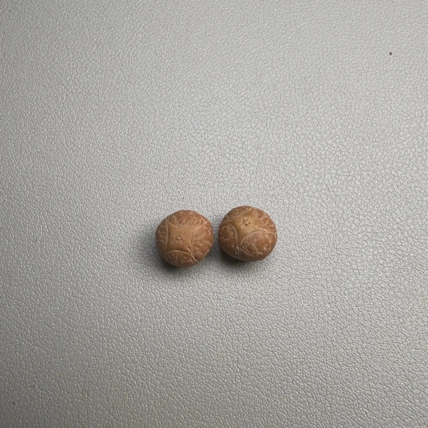 尼泊尔凤眼菩提，小尺寸麒麟