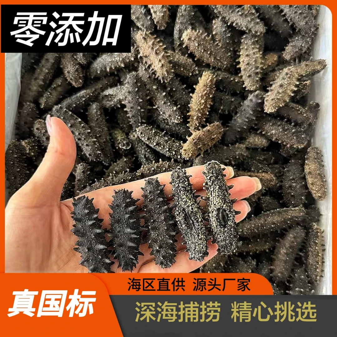 保价年货节  40头左右  0添加  国标 纯威海淡干海参