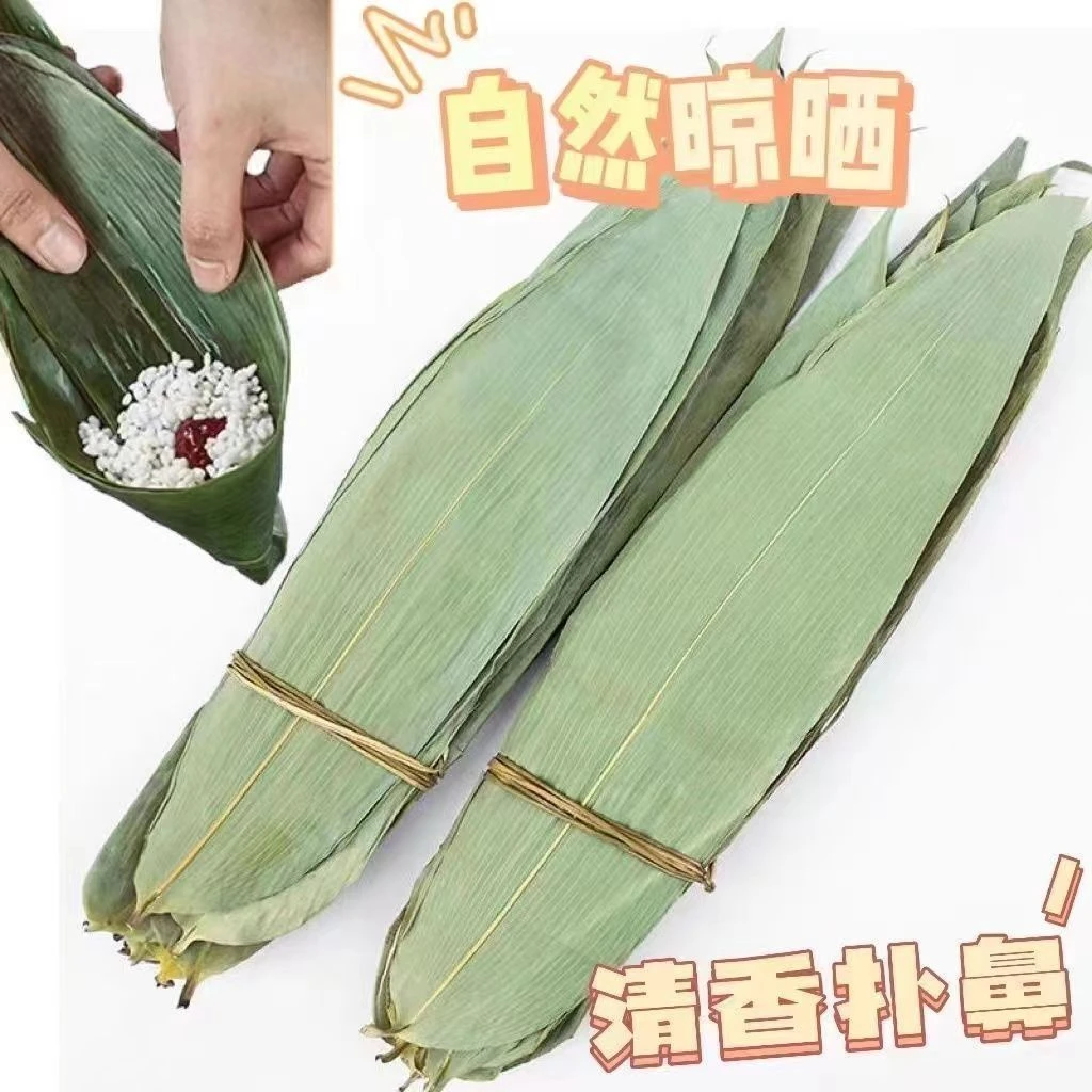 【小鑫】干粽叶端午批发粽子无添加正宗粽叶中小号竹叶45张/份