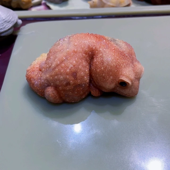 守宫寿山石精品手工雕刻