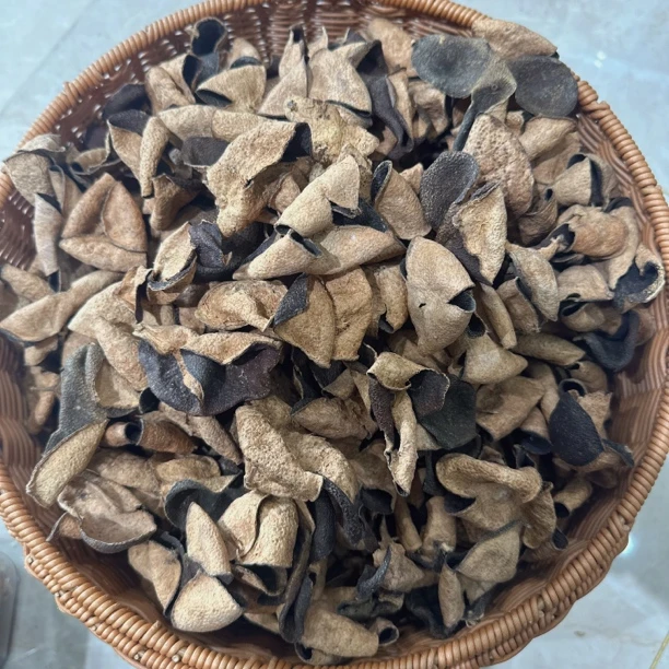 【樟香浓2008年花青皮】天马花青皮老青 新会陈皮50g250g500g