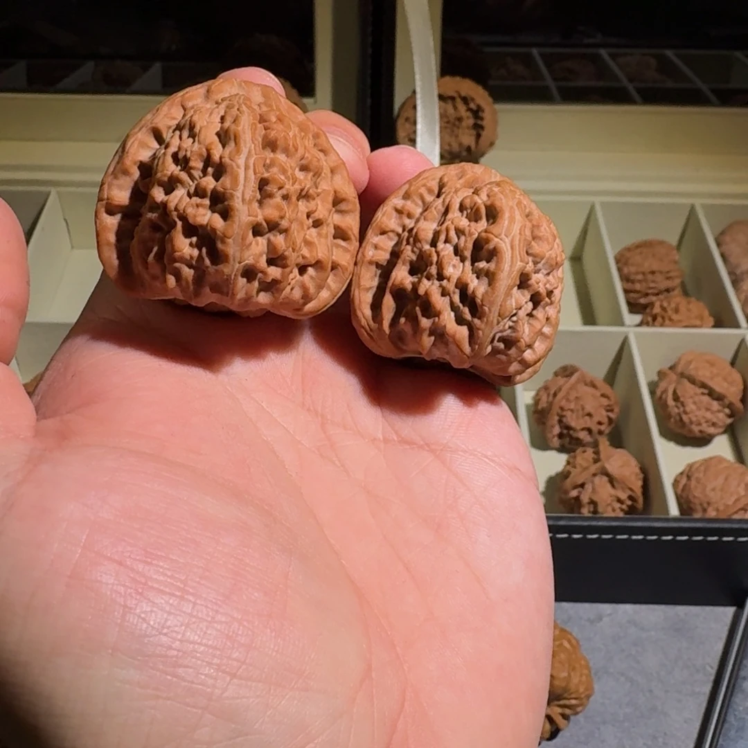 大叶紫檀（黑酸枝木类）