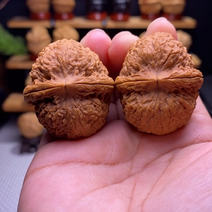 木质类云铁铁狮子27号