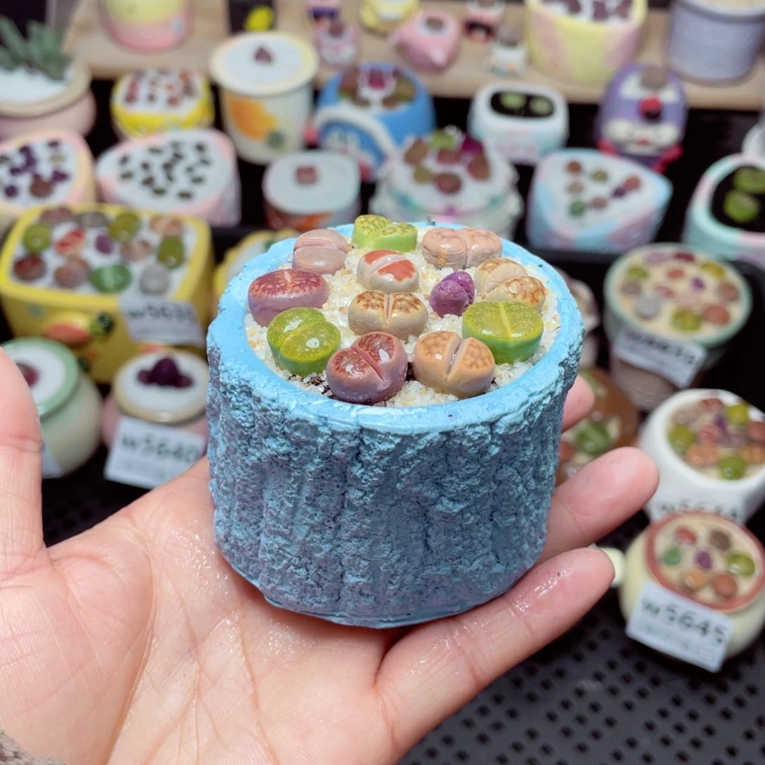 w5646 -零下地区拍保温箱-15支持寄养