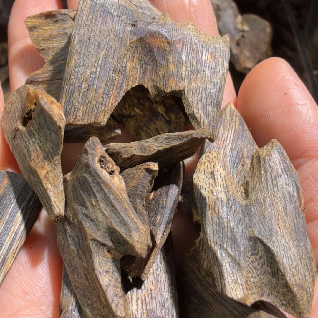 沉香碎屑沉香陆河高端块料102克