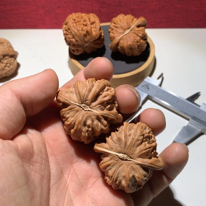 把件文玩核桃铁*豆白狮子
