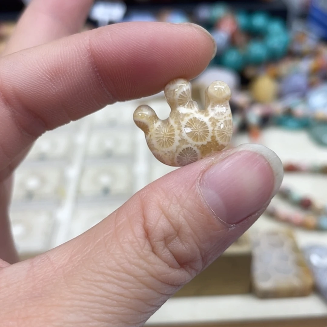 未镶嵌手串硅化珊瑚（珊瑚玉）462