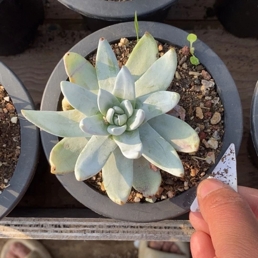 2513哈哈哈哈哈哈哈哈