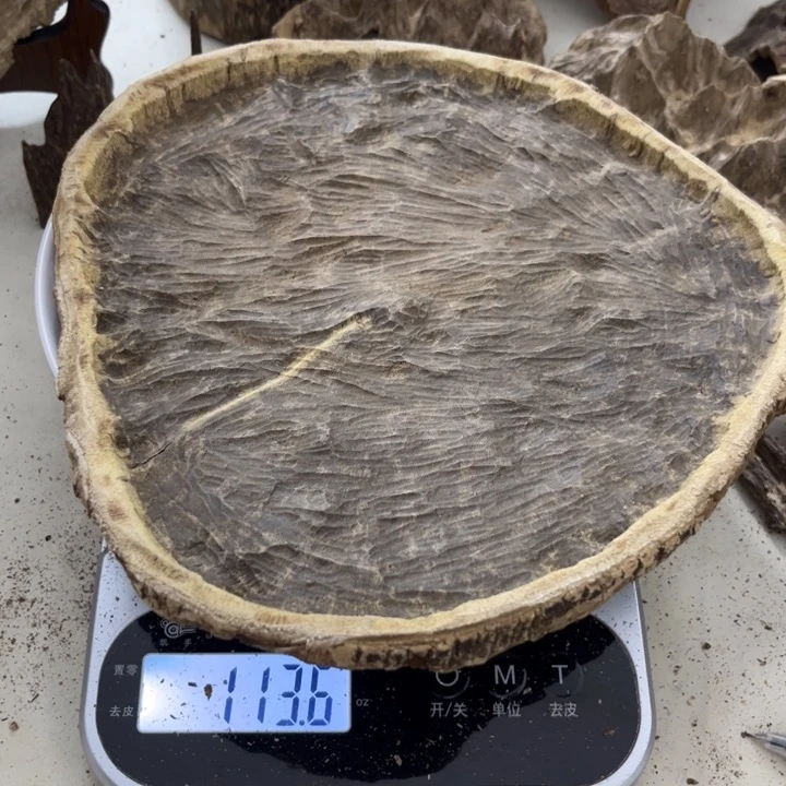 沉香摆件海南沉香块料113克
