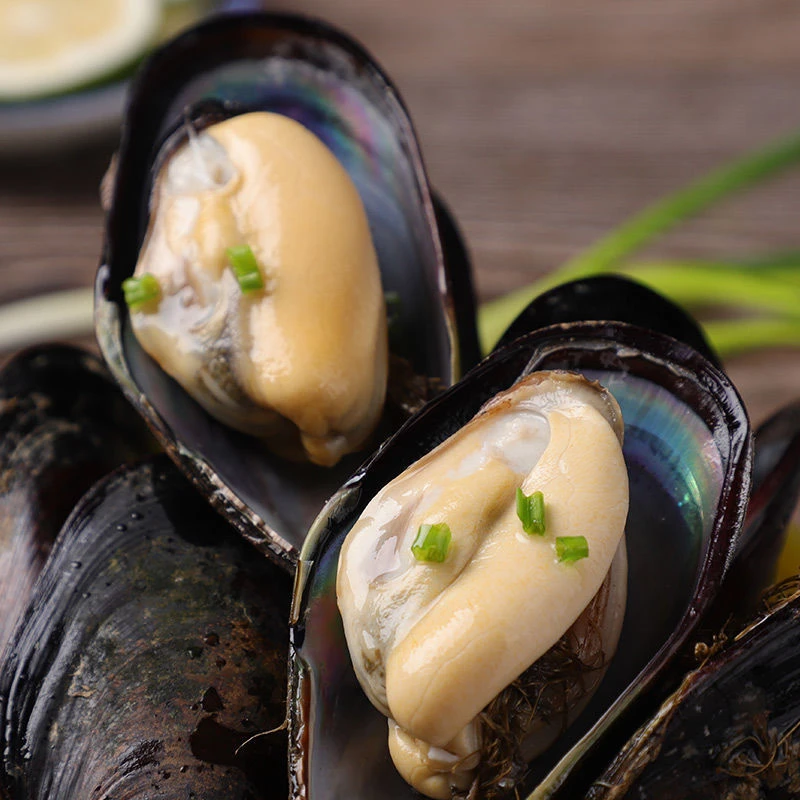 连云港发货肥美海鲜 鲜活海虹/贻贝