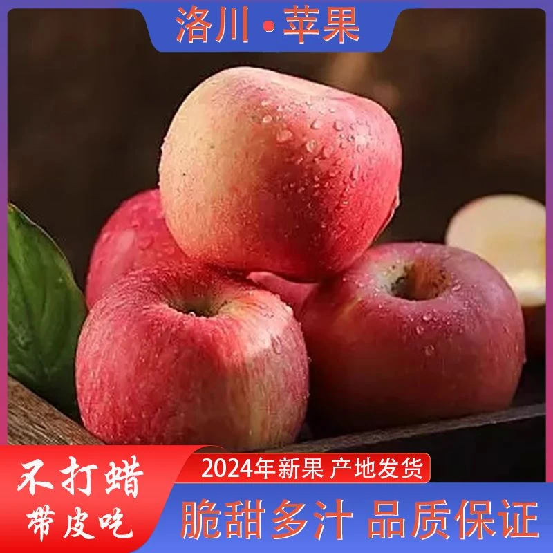 【好吃不贵】火锅一姐推荐正宗洛川苹果陕西红富士苹果清甜产地直发
