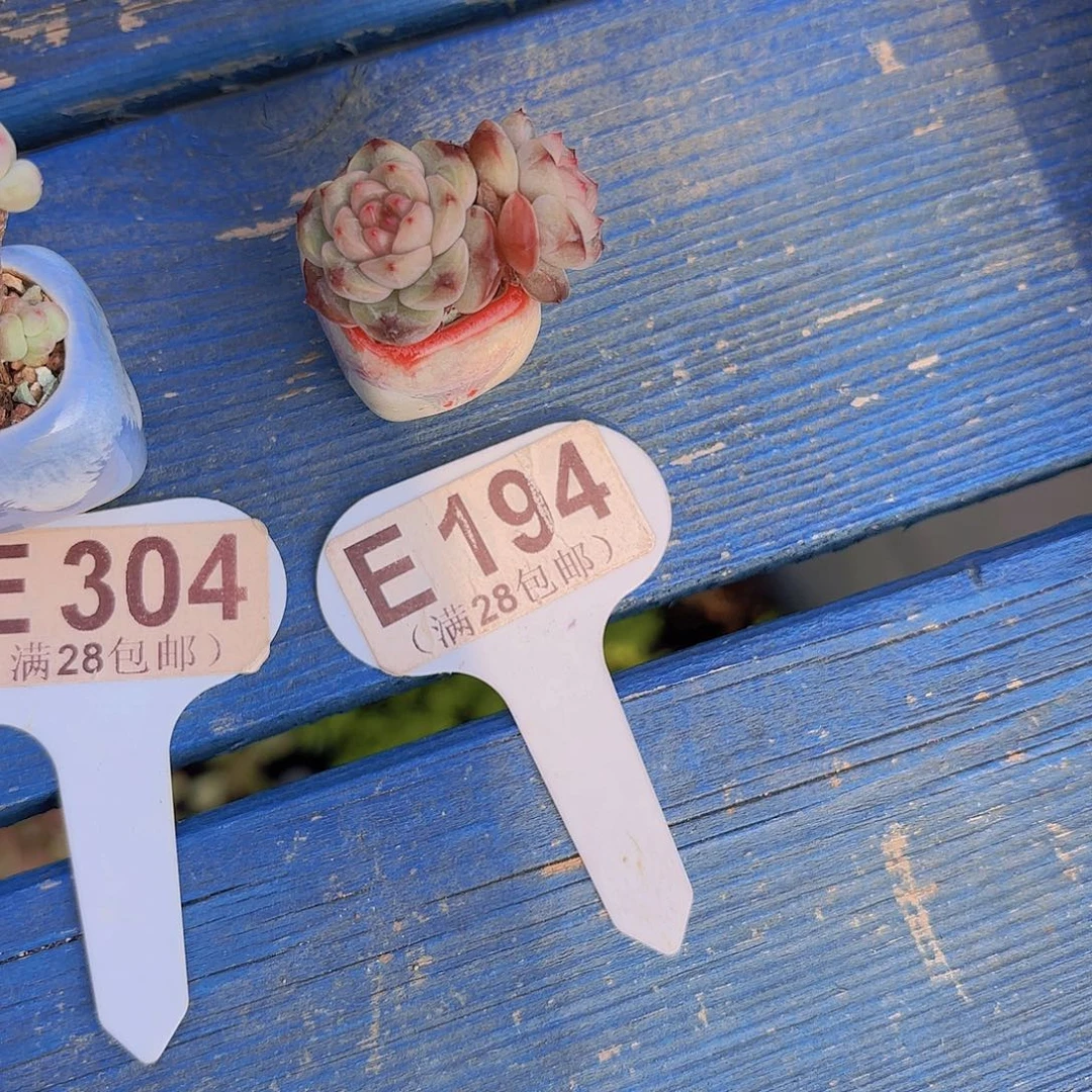 E194石榴珍妮一物一拍