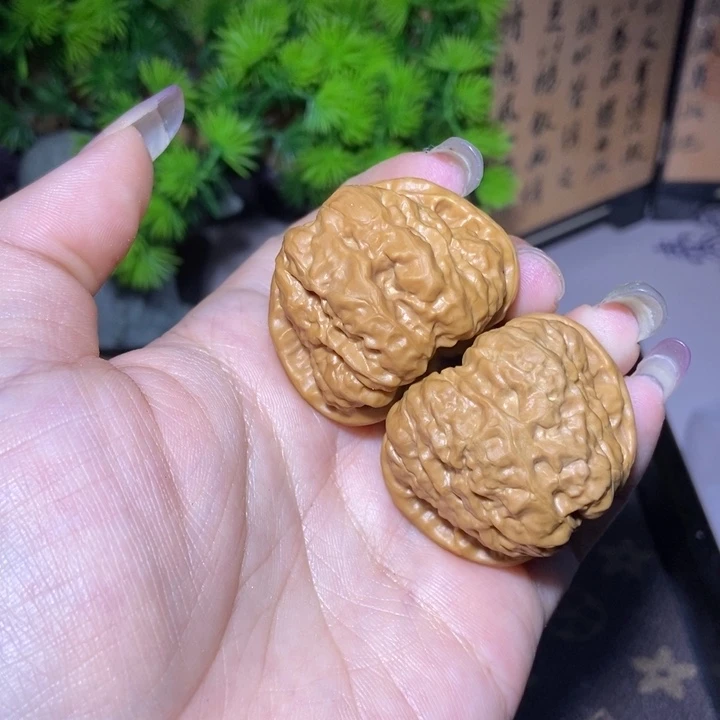 文玩核桃把件38边蛤摸