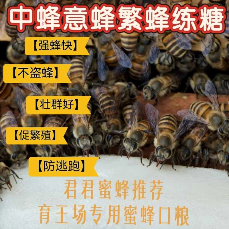 中蜂意蜂专用繁蜂饲料炼糖，自封袋，袋装，外加制作炼糖技术。