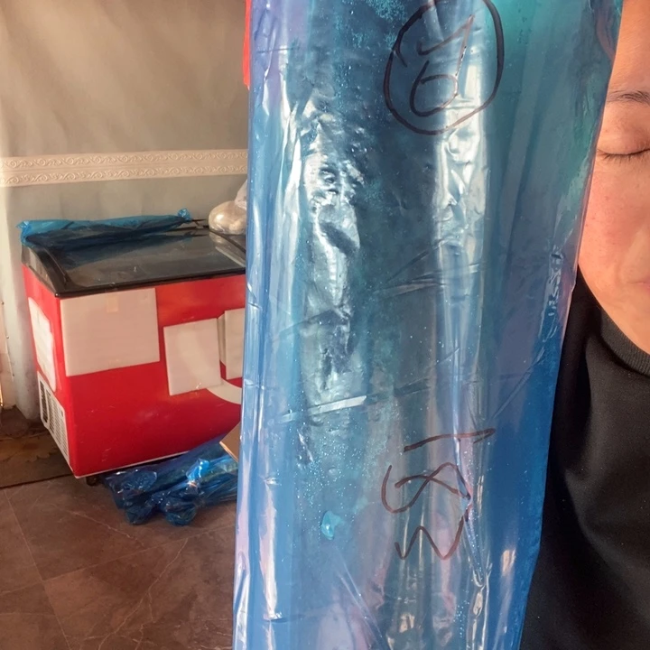 中国大陆渤海湾野生燕鲅鱼20号