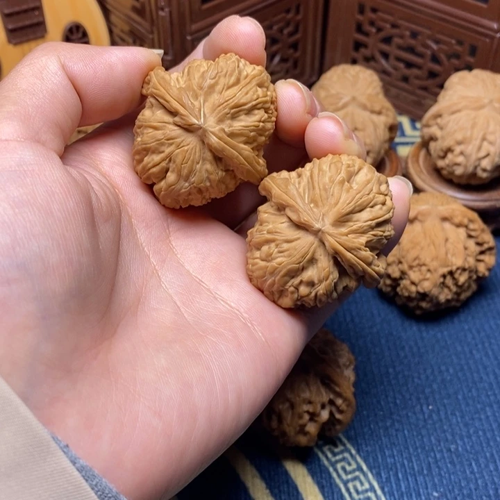 把件文玩核桃38白狮子