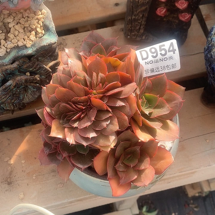 民***俗蒙娜丽莎缀化954 亏本处理玻璃心勿扰7-8天发货