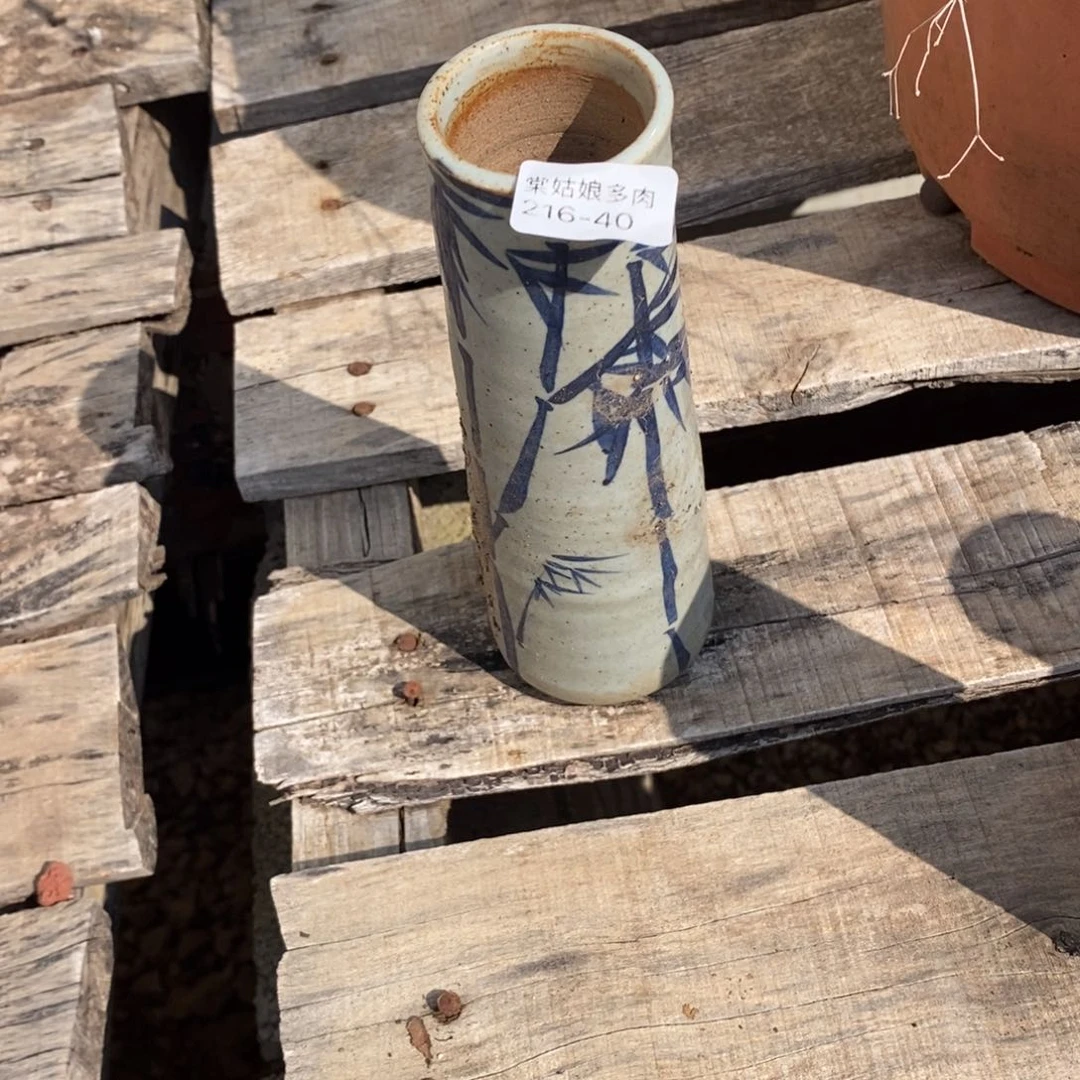 红陶活**布40号多肉盆一个呀