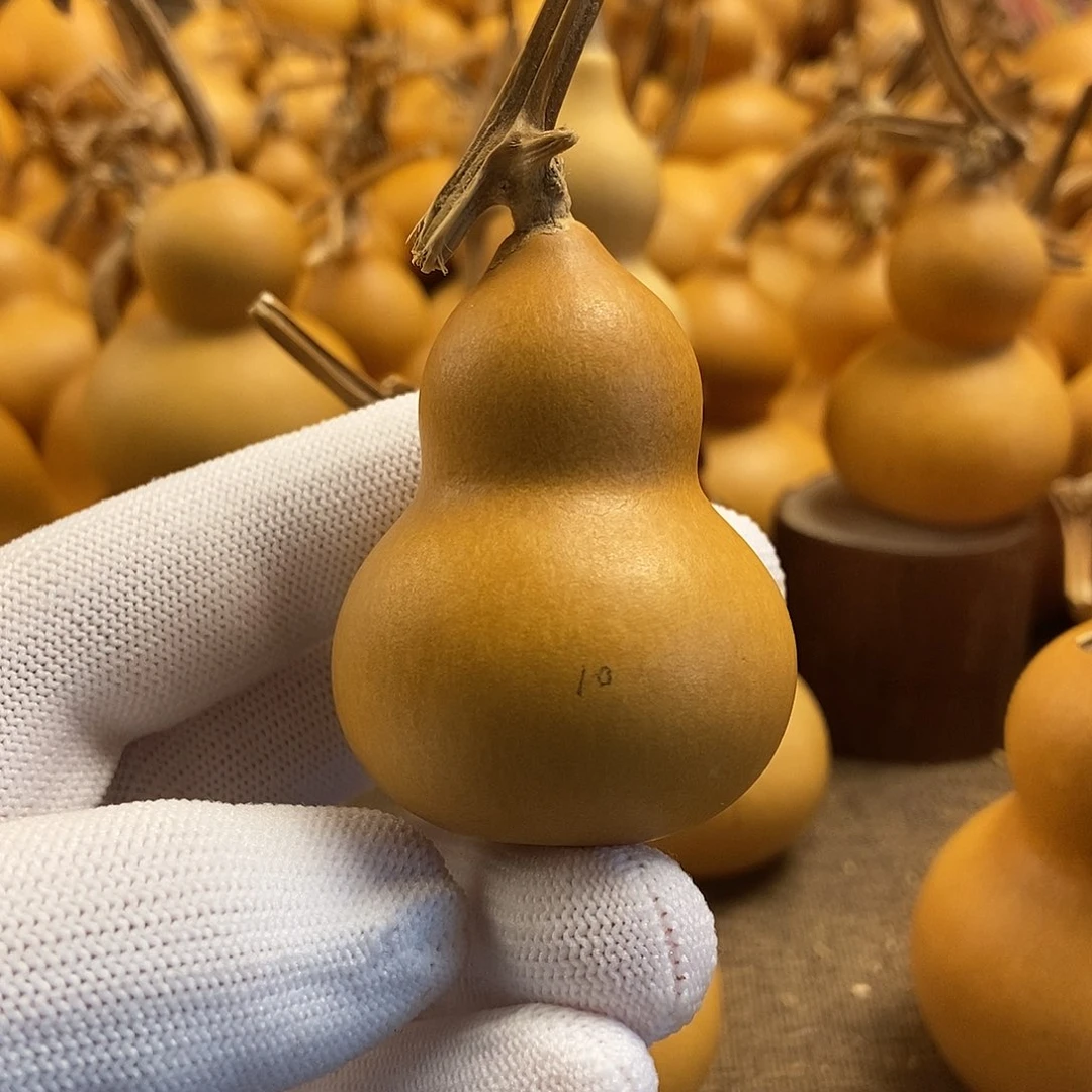 文玩葫芦 完美主义者 慎拍10