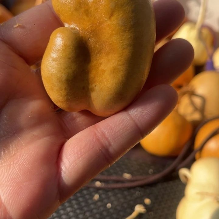 -***儿葫芦哈哈哈哈哈哈哈哈