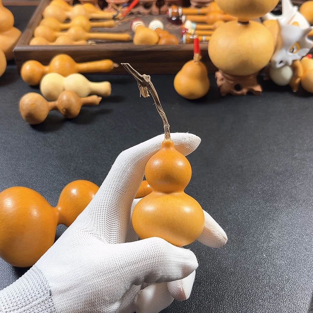 ?豆爸回血哈哈哈哈哈