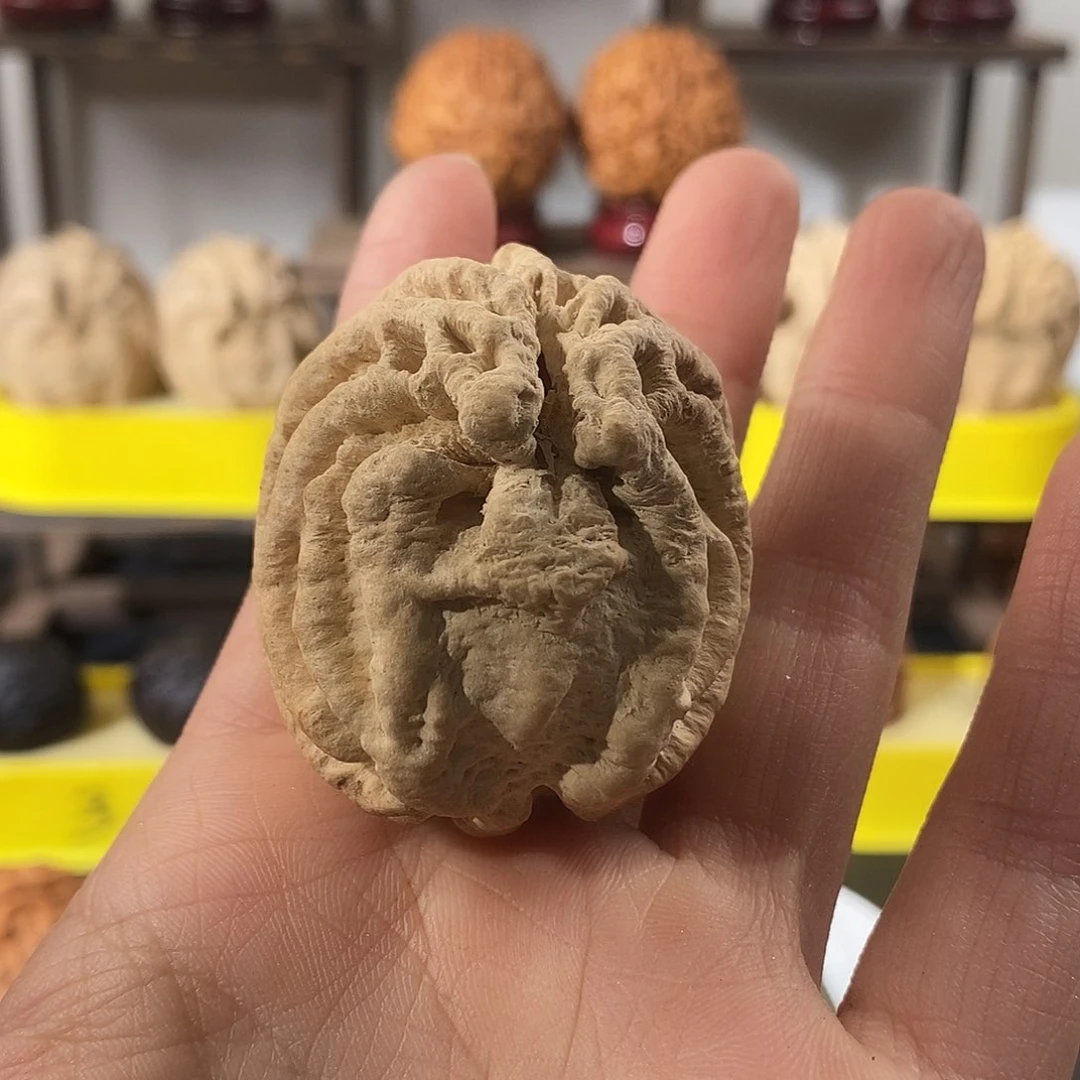 吊坠文玩核桃V****¹鬼脸单颗41不退不换不接受中差评