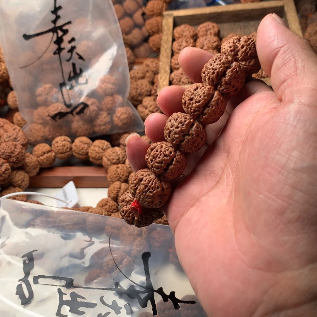 龙***哥手串金刚菩提22龙牙