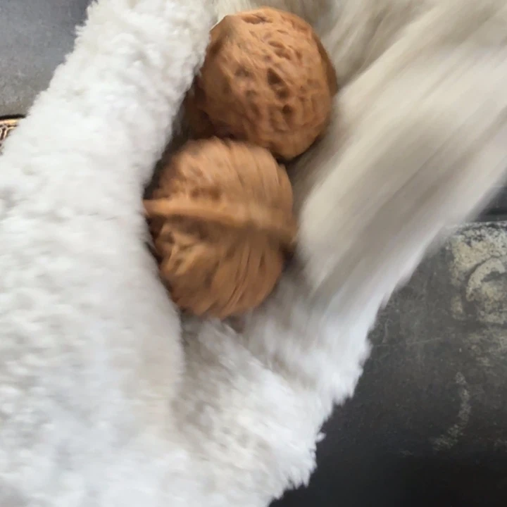 文玩核桃吊坠野生