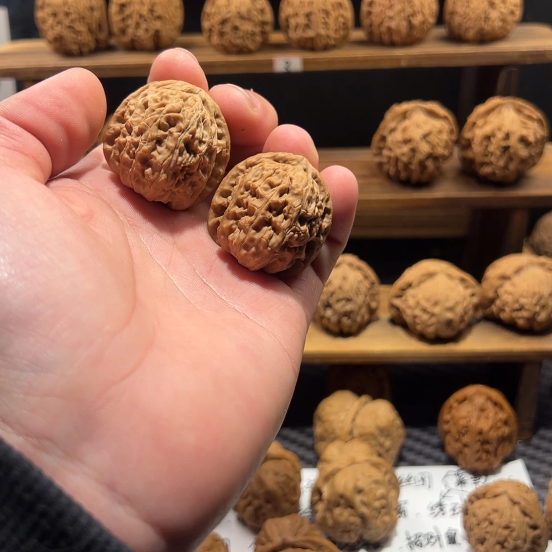 核桃把件泉三角白狮子